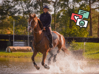 Community Event: Live beim FN Creator Event