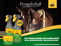 Effektiver Insektenschutz für dein Pferd