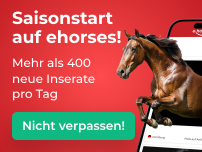 Verkaufe deine Pferde erfolgreich auf dem weltweit größten Pferdemarkt.